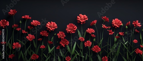 Red flowers in full bloom against a dark background, showcasing nature's beauty and contrast in a visually striking display. © Timaren