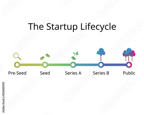 the startup lifecycle from pre seeds to seeding, series A, series B, public market