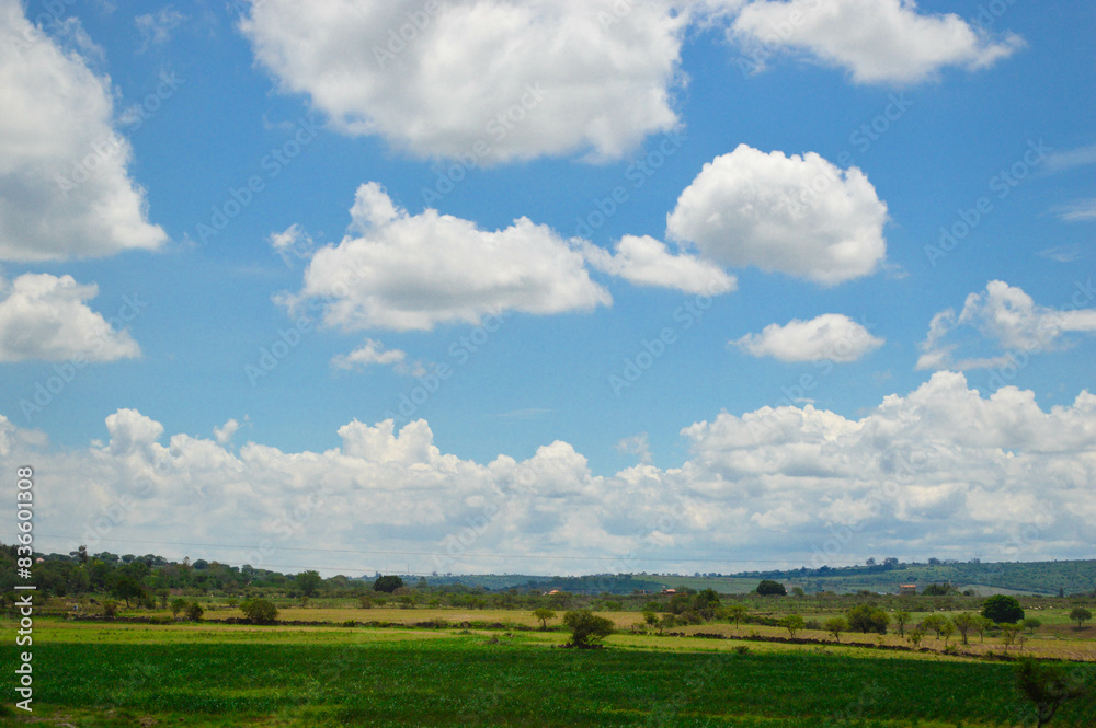 Paisaje verde pastizales con cielo azul y nubes blancas Paisaje verde pastizales con cielo azul y nubes blancas