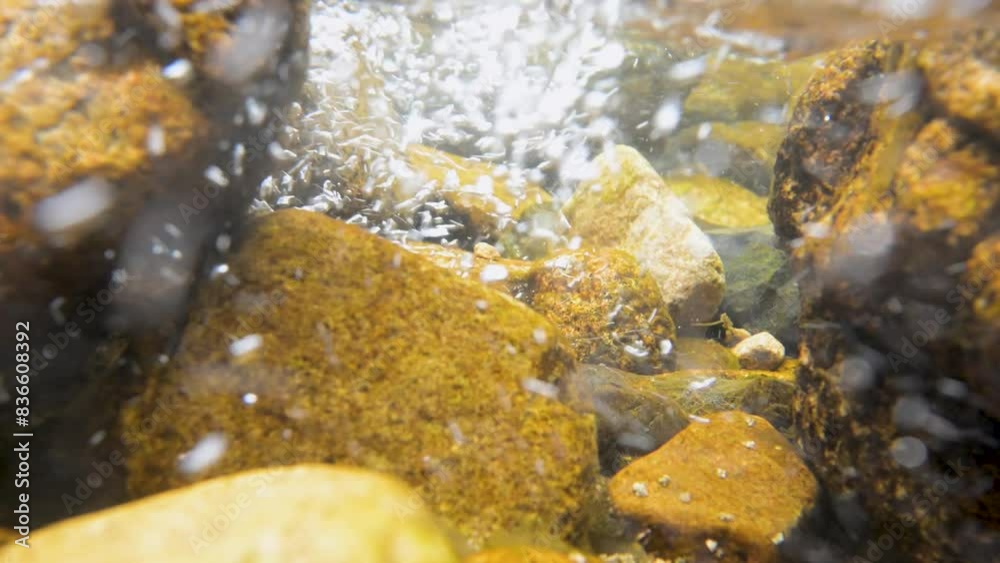 川の水中の水の流れ 川の水中の水の流れ