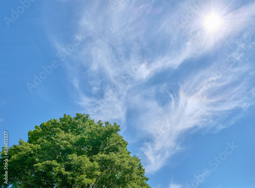 大空と新緑 / Big wide open sky and fresh greenery　 © FRAGMENTSOFHOKKAIDO
