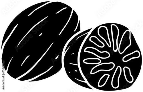 nutmeg illustration food silhouette anise logo ingredient icon pepper outline cooking indian herb seasoning spice cardamom cuisine garlic chili shape cinnamon ginger aroma for vector graphic