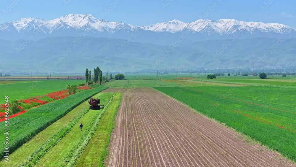 one unrecognizable human worker and tractor on agricultural field - half-green and half-plowed at sunny spring day, aerial view, pedestal up movement one unrecognizable human worker and tractor on agricultural field - half-green and half-plowed at sunny spring day, aerial view, pedestal up movement