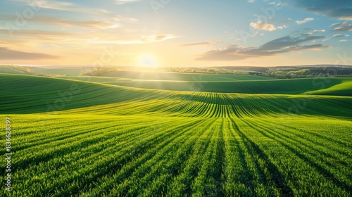Wide panoramic view of green agricultural fields lit by the sun over horizon, minimalism natural background hyper realistic --ar 16:9 Job ID: 5103f731-daef-4c63-b552-b9aaede61f3f