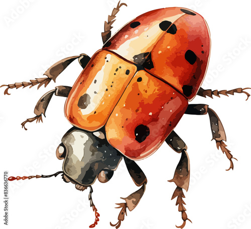 Beetle clipart design illustration