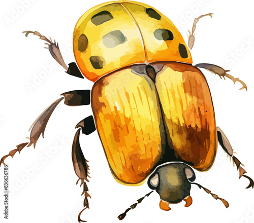 Beetle clipart design illustration