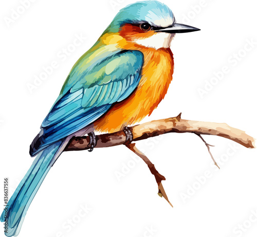 Bird on branch clipart design illustration photo