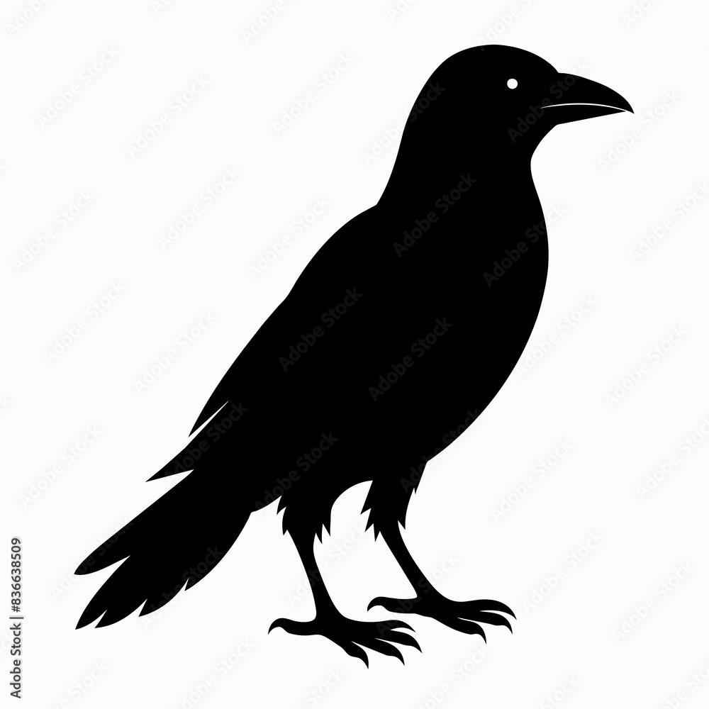 silhouette of a crow silhouette of a crow