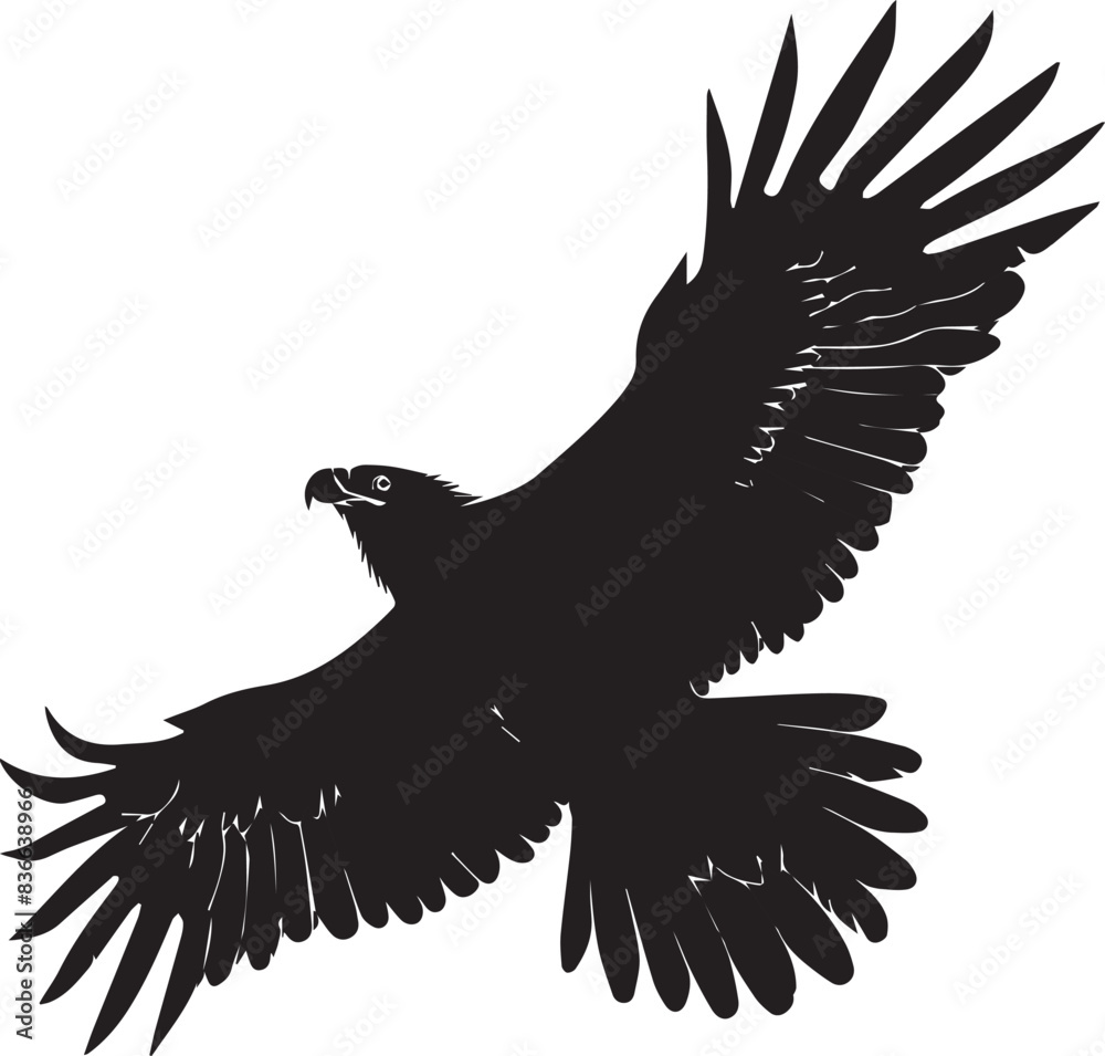 Fototapeta premium Eagle flying black silhouette 