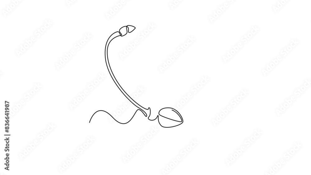 Animated self drawing of continuous line draw half sliced of healthy organic sweet cherries for orchard logo identity. Fresh fruitage concept for fruit garden icon. Full length single line animation Animated self drawing of continuous line draw half sliced of healthy organic sweet cherries for orchard logo identity. Fresh fruitage concept for fruit garden icon. Full length single line animation