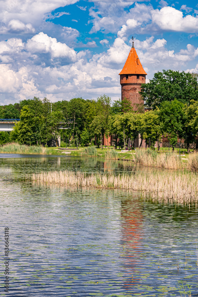 Obraz premium Beautiful summer Nogat river and a bridge in Malbork