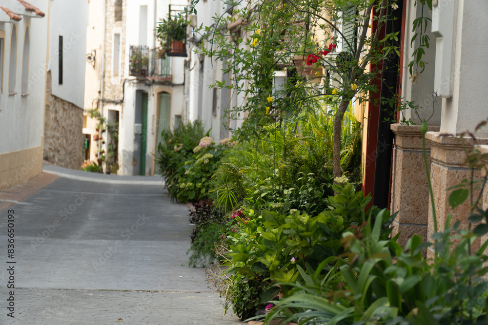 Naklejka premium Plants and flowers in a beautiful town street, in Castell de Castells, Alicante, Comunidad Valenciana (Spain)