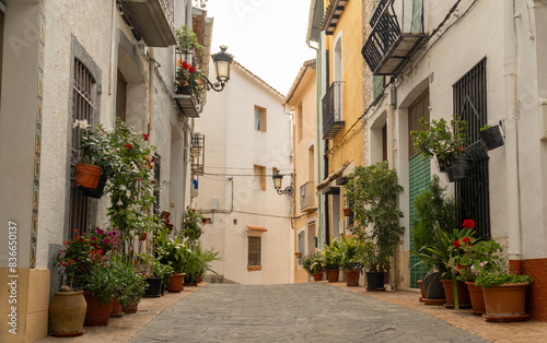 Fototapeta Naklejka Na Ścianę i Meble -  Plants and flowers in a beautiful town street, in Castell de Castells, Alicante, Comunidad Valenciana (Spain)