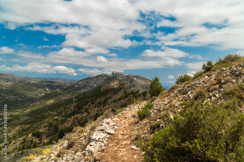 Fototapeta premium Alicante mountains, Serrella. Comunidad Valenciana (Spain) 