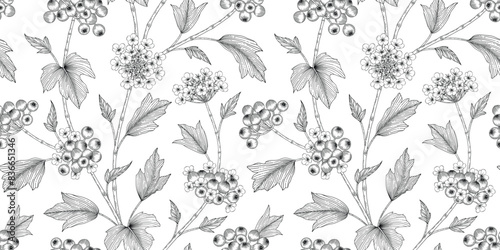 Cranberry pattern black and white illustration