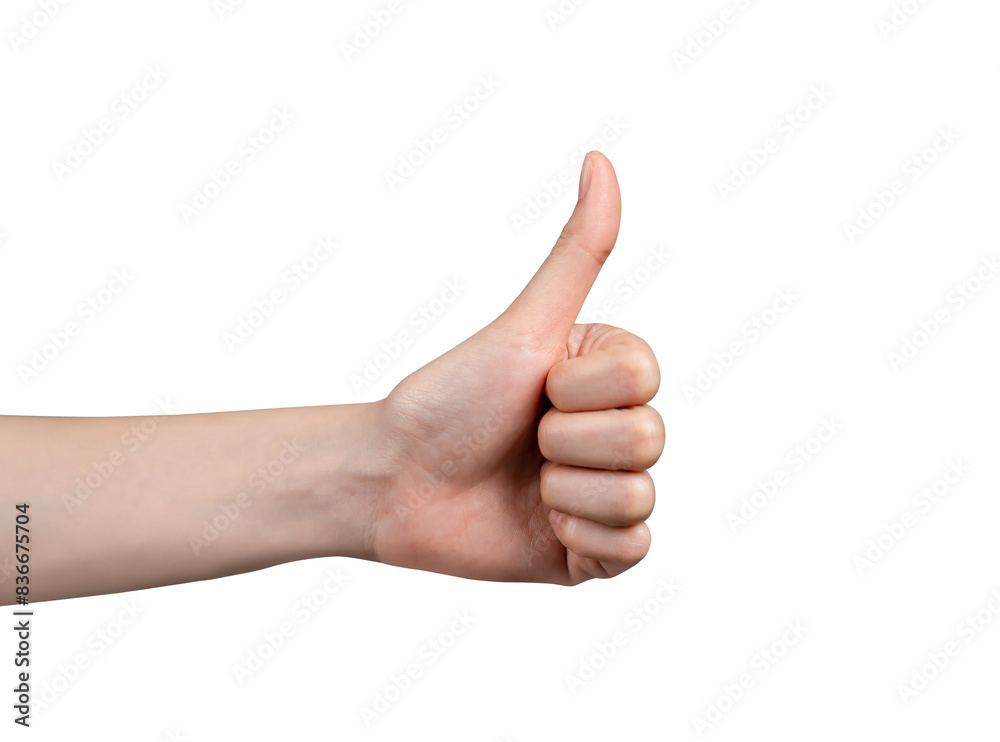 Hand showing the like gesture isolated on a white background Hand showing the like gesture isolated on a white background