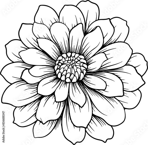 Flower sketch clipart design illustration