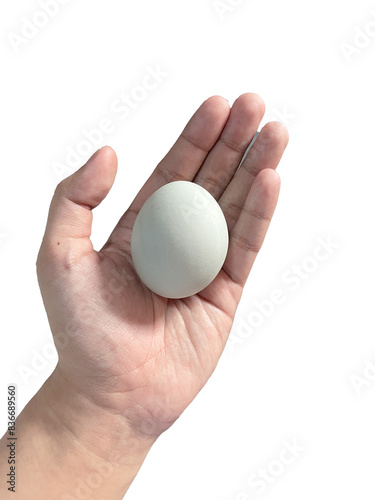 hand holding salted egg from ducks egg isolated on white background