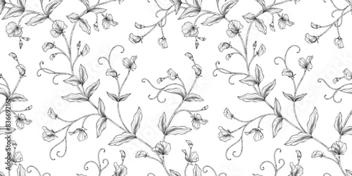 sweet pea floral pattern black and white illustration