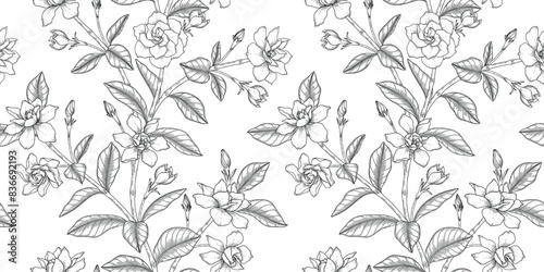 Gardenia floral pattern black and white illustration