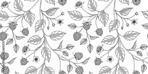 raspberry fruit pattern black and white illustration