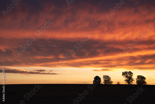 Warm orange cloudy sunset with trees on the horizon