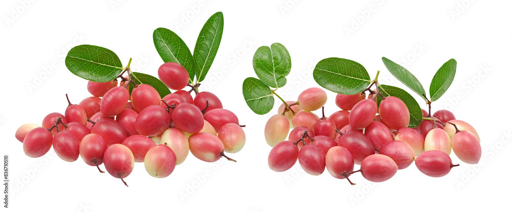karonda fruit or bengal Currants and green leaf on white background karonda fruit or bengal Currants and green leaf on white background