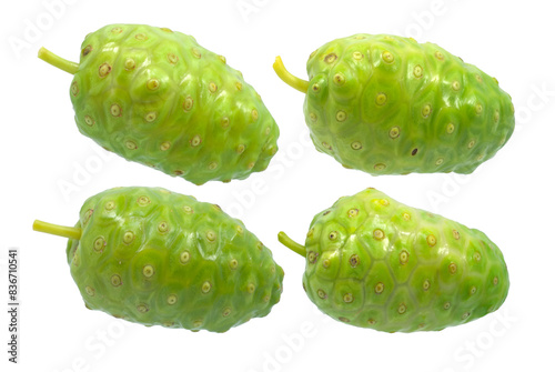 Noni or Morinda fruits isolated on white.jpg photo