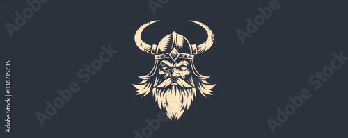 drawing of a Viking helmet icon on a distressed background.