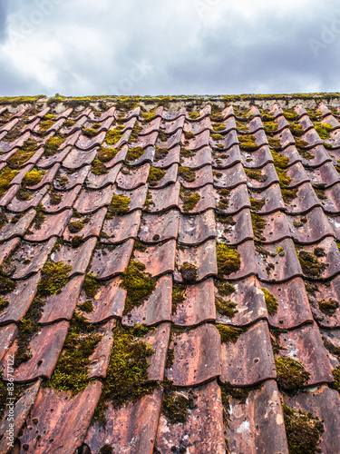 Red clay tiles with green moss with sky