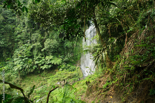 Towering waterfall in the Halimun Salak Area Indonesia photo