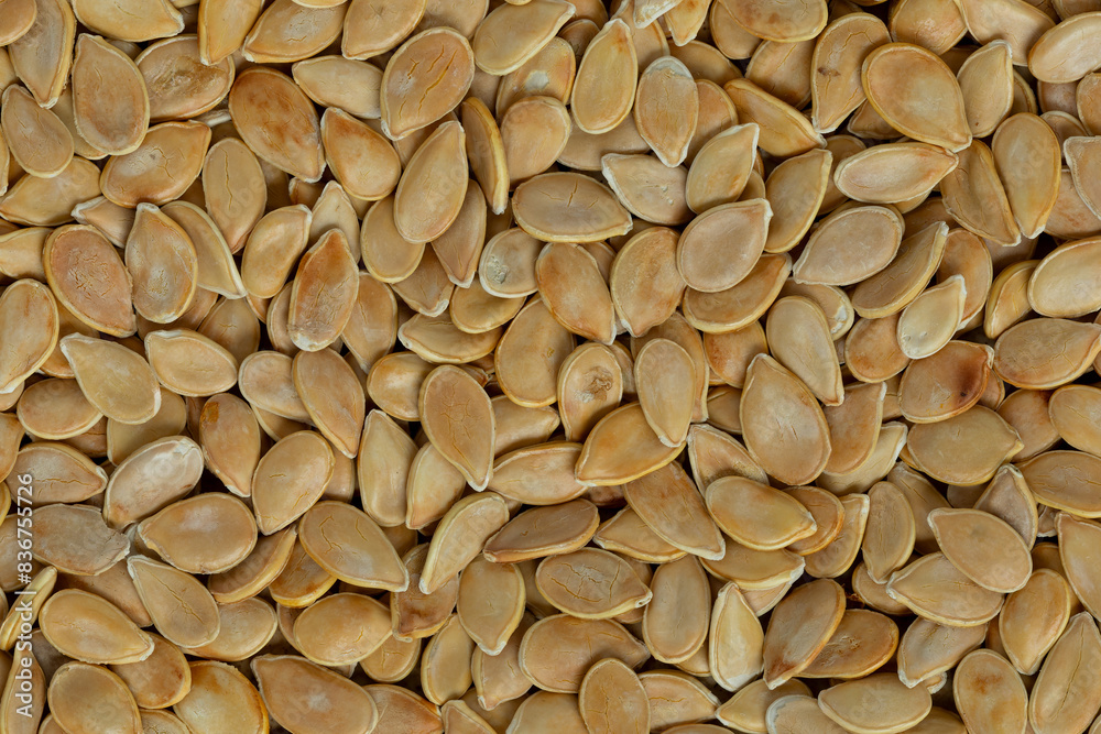 Background of Hokkaido squash unshelled seeds. Background of Hokkaido squash unshelled seeds.