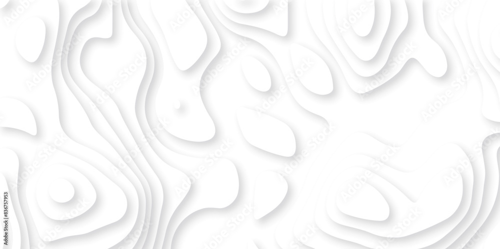 Vector 3D abstract background with paper cut shapes. paper cut topography vector art background banner texture. White wave paper curved reliefs abstract background. Realistic papercut decoration layer Vector 3D abstract background with paper cut shapes. paper cut topography vector art background banner texture. White wave paper curved reliefs abstract background. Realistic papercut decoration layer