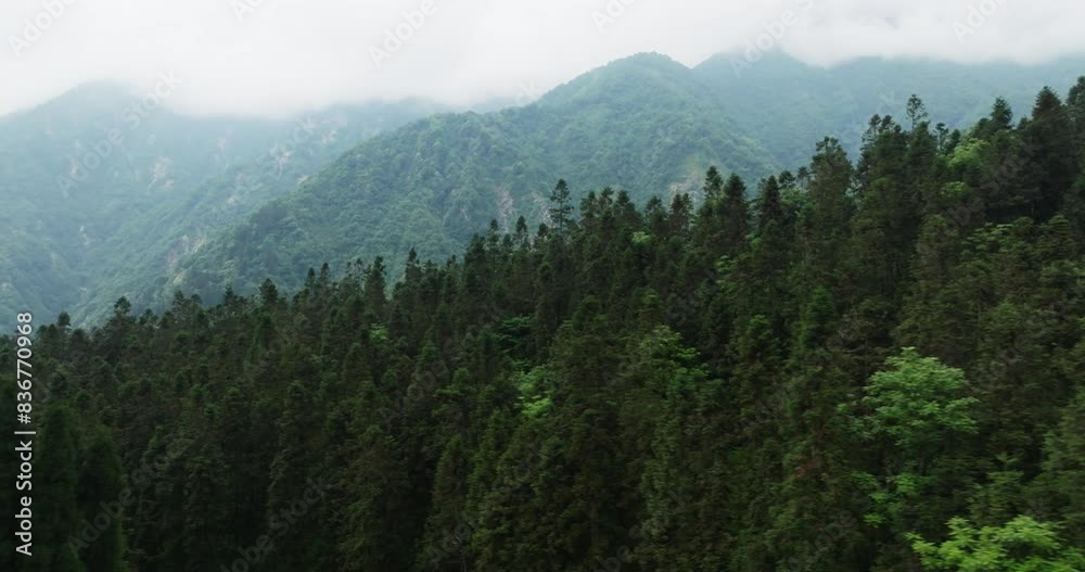 aerial view of forest mountain nature landscape aerial view of forest mountain nature landscape