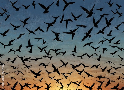 Low flying arctic tern bird swarm silhouette repeating pattern abstract