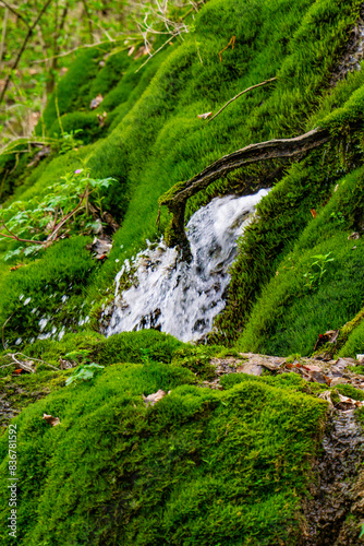 Serene waterfall cascading through mossy cliffs at Beli Izvorac  Serbia