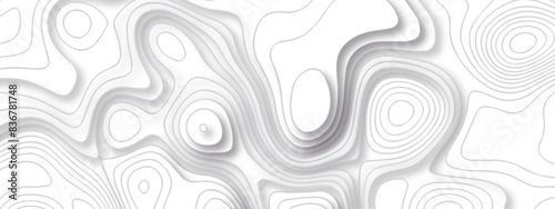Vector geographic contour map. Topography map background. Black and white wave Seamless line. Topography relief. White wave paper curved reliefs abstract. Topographic map patterns,topography line map.