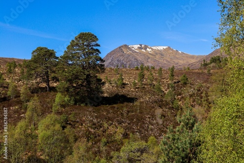 Scotland highlands Glen Affric Cannich photo