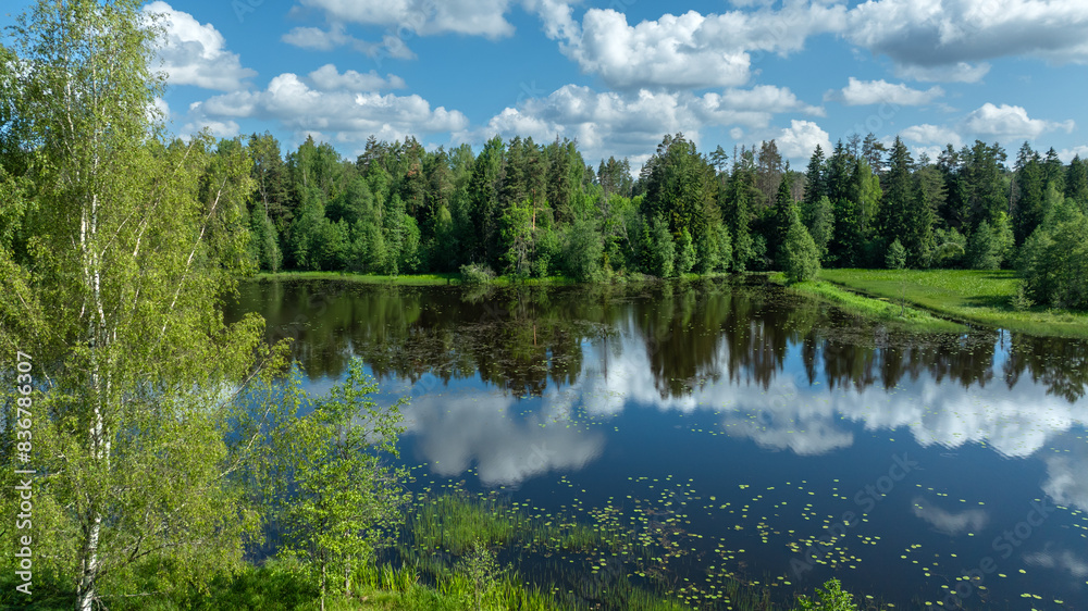Obraz premium lake and forest