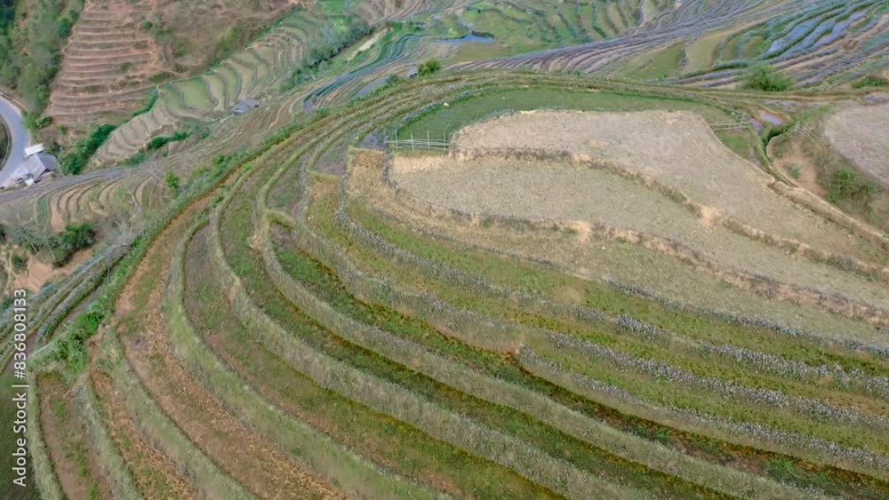 Drone View of Terrace Rice Fields in Mu Cang Chai, Northern Vietnam