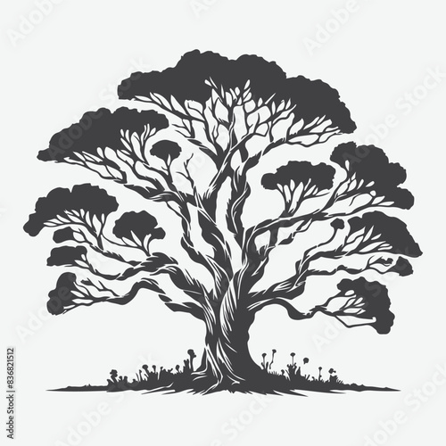 Print Majestic Paperbark Tree Silhouette Against the Sky