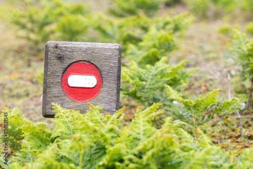 A small, wooden red and white no entry or stop sign on a wooden block.