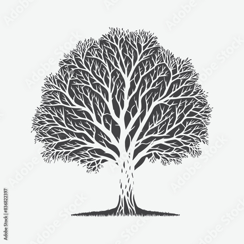 Print Majestic Paperbark Tree Silhouette Against the Sky