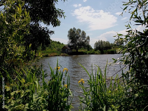 A picturesque landscape on a cozy fishing pond with special wooden buildings on the shore for fishing and recreation. View from the shore in the foreground with reeds blooming with yellow flowers on t photo