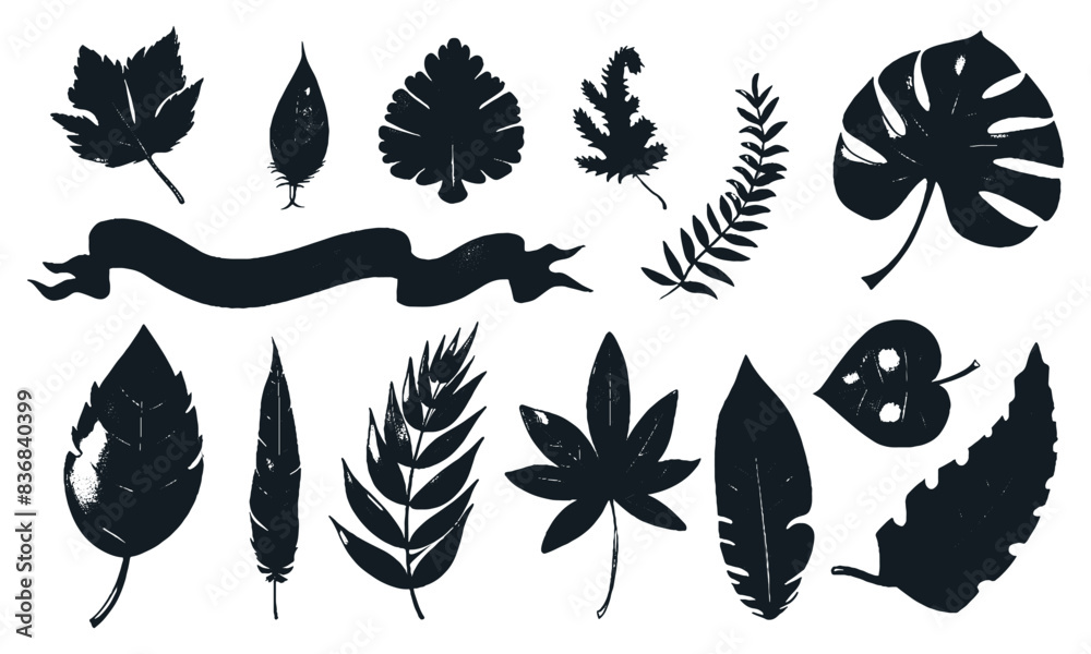 Hand Drawn Leaves Elements Set Autumn Leaf Shape Background Various hand-drawn-leaves-elements-set-autumn-leaf-shape-background-various