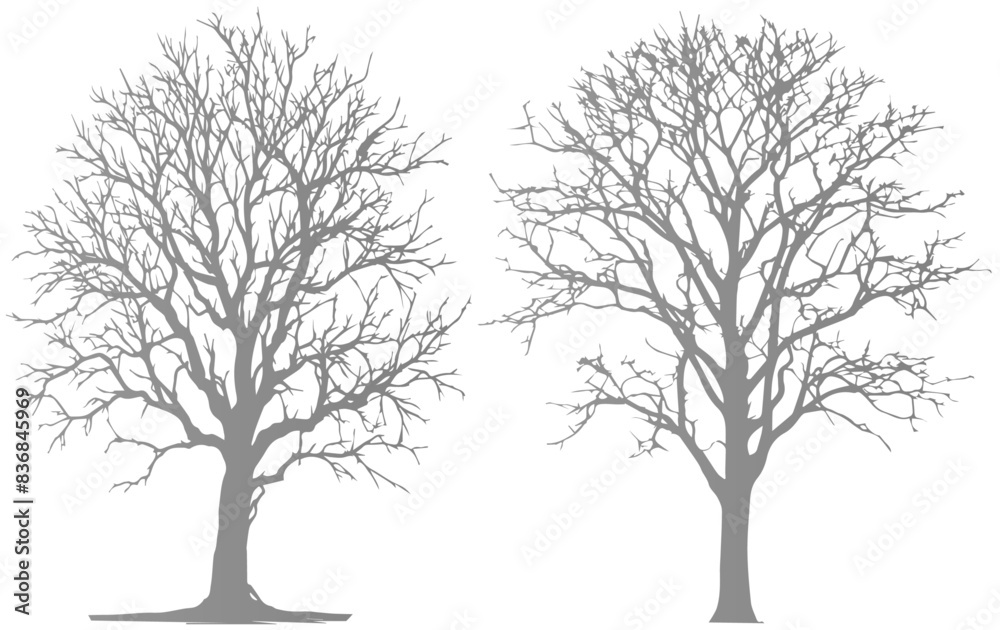 Obraz premium Dead Tree Vector Silhouette Collection, Scary Tree Silhouette vector bundle, Halloween Spooky Trees vector illustration, Forest Tree without leaves 