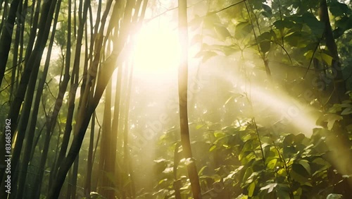 A tranquil forest bathed in sunlight, bamboo leaves filtering the rays