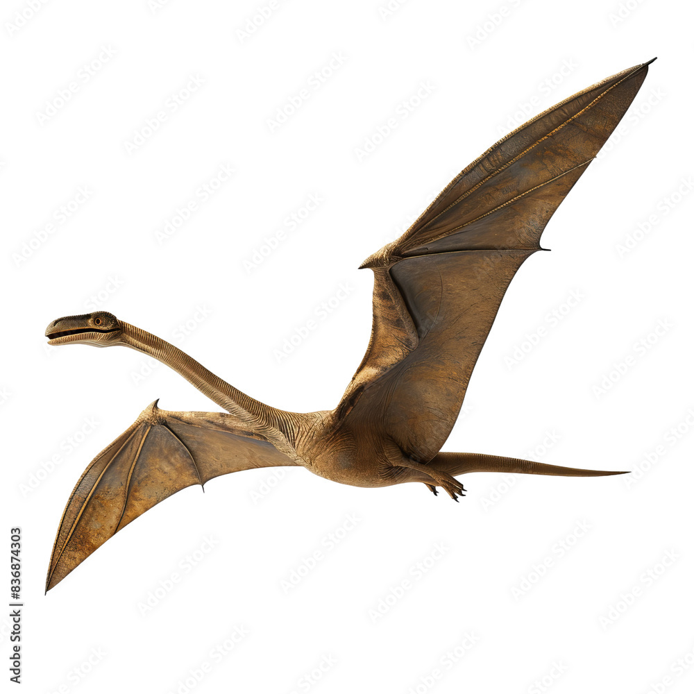 Realistic 3D rendering of a flying pterosaur from the Mesozoic era, showcasing detailed wings and body structure in a dynamic pose. Realistic 3D rendering of a flying pterosaur from the Mesozoic era, showcasing detailed wings and body structure in a dynamic pose.
