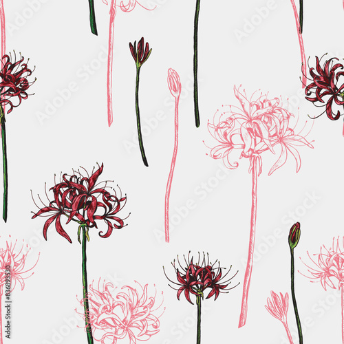 Photography Spider lily flowers vector seamless pattern