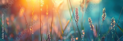 Macro image of wild grass in forest at sunset Shallow depth field highlights lush textures